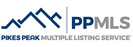 PPMLS IDX Websites